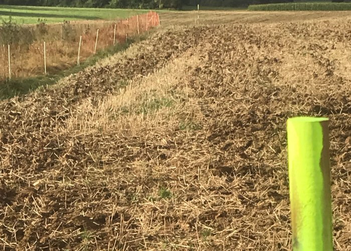 Flächenvermessung für Neu-Verträge