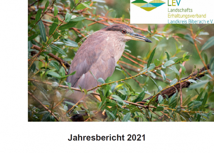 Jahresbericht 2021