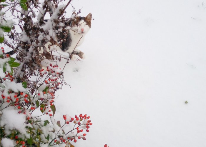LEV-Geschäftsstelle geschlossen