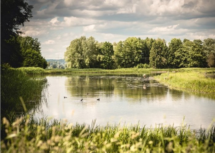 Neuzugang Achstetten
