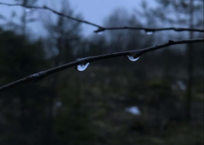 LEV-Geschäftsstelle macht Weihnachtspause