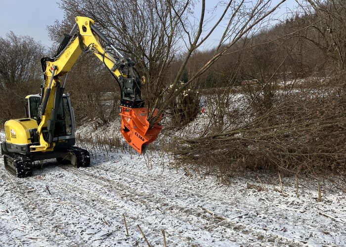 Winterzeit, Gehölzpflegezeit !