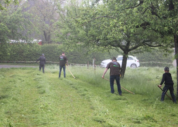 41. Sensenmähkurs in Kürnbach