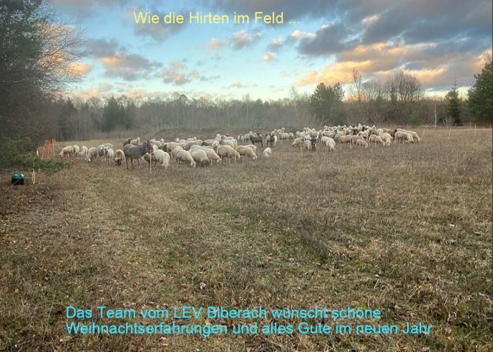 Der LEV wünscht allen frohe Weihnachten und einen guten start ins neue Jahr!