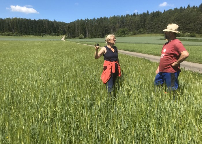 Wie Artenvielfalt auf Äckern erhalten?