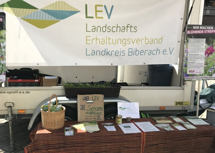 Mitgliederversammlung am 20.11.2019