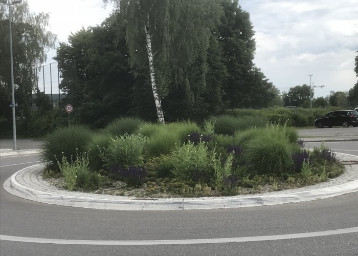 Viele Impulse beim „Runden Tisch für Artenvielfalt“