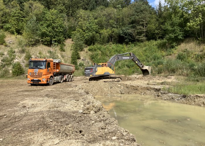 Neue Gewässer für den Kammmolch