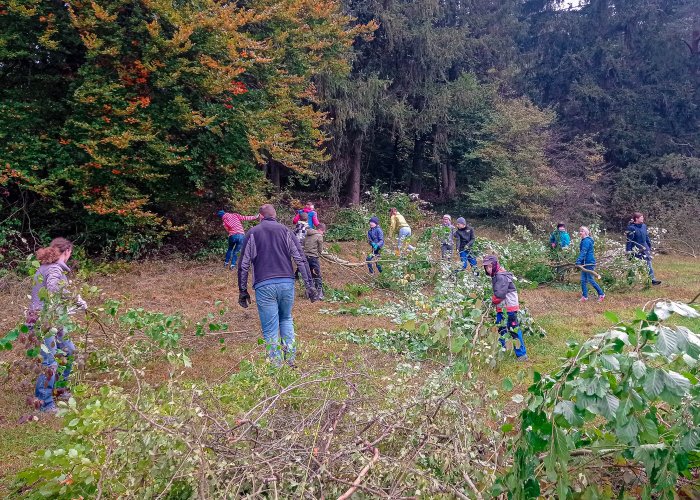 Einsatz für die Artenvielfalt - Schulklassen werden aktiv!