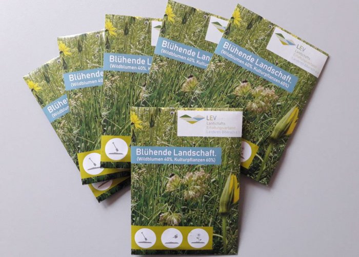 Verwandeln Sie Ihren Hausgarten in ein buntes Blütenmeer!