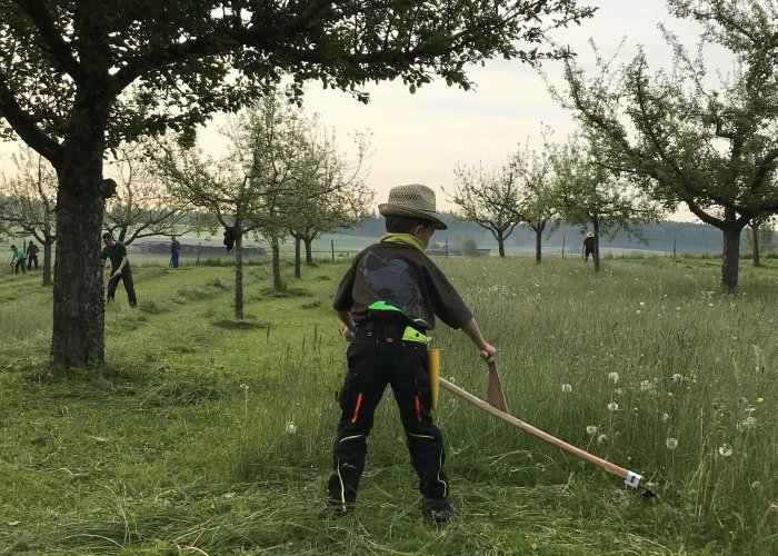 39. kreisweiter Sensenmähkurs in Kürnbach