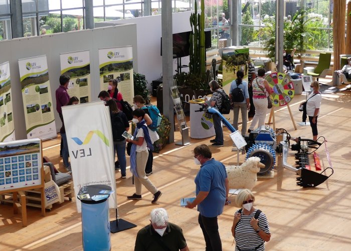 Landschaftspflege - mit Schaf oder mit Balkenmäher?